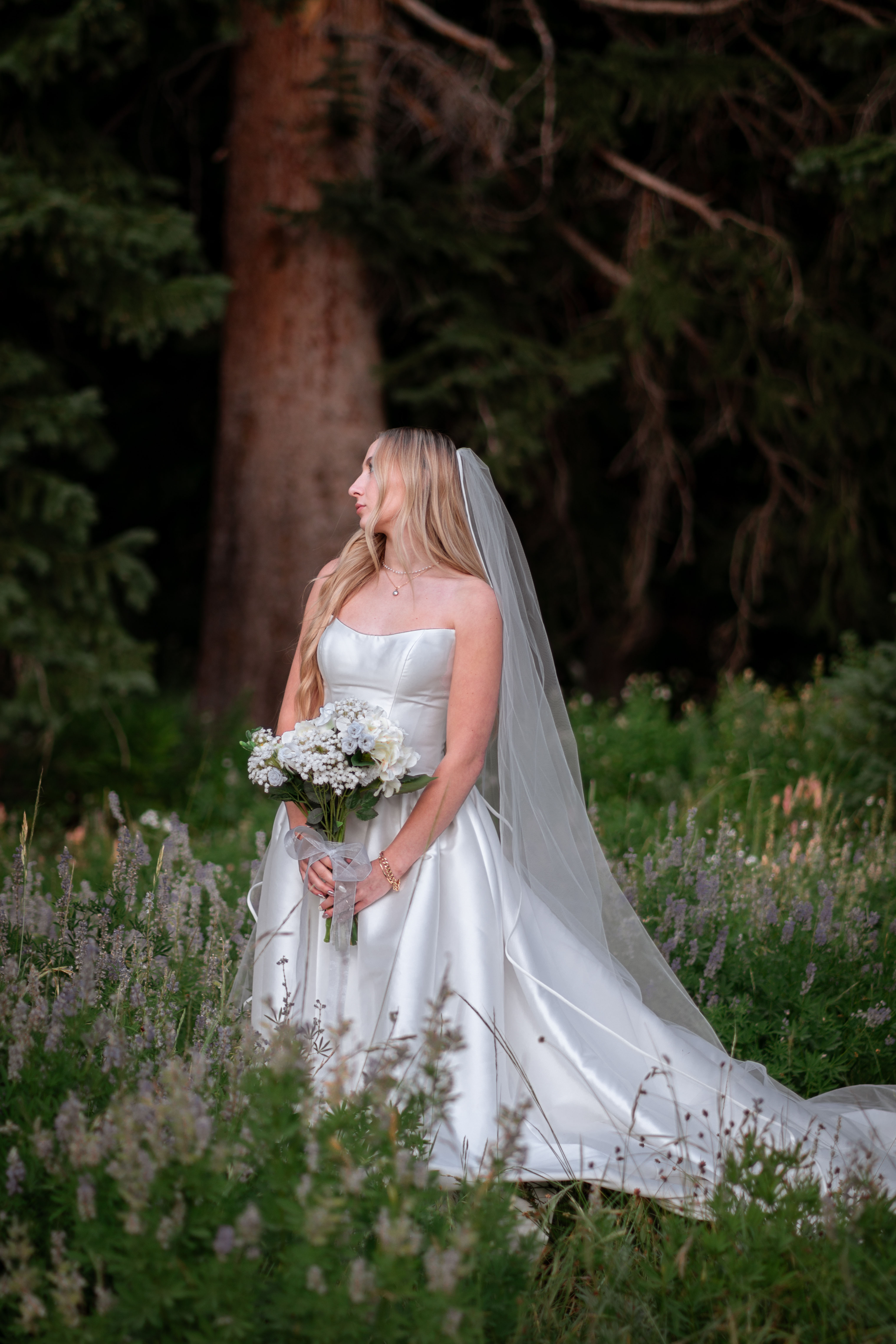 Bridals